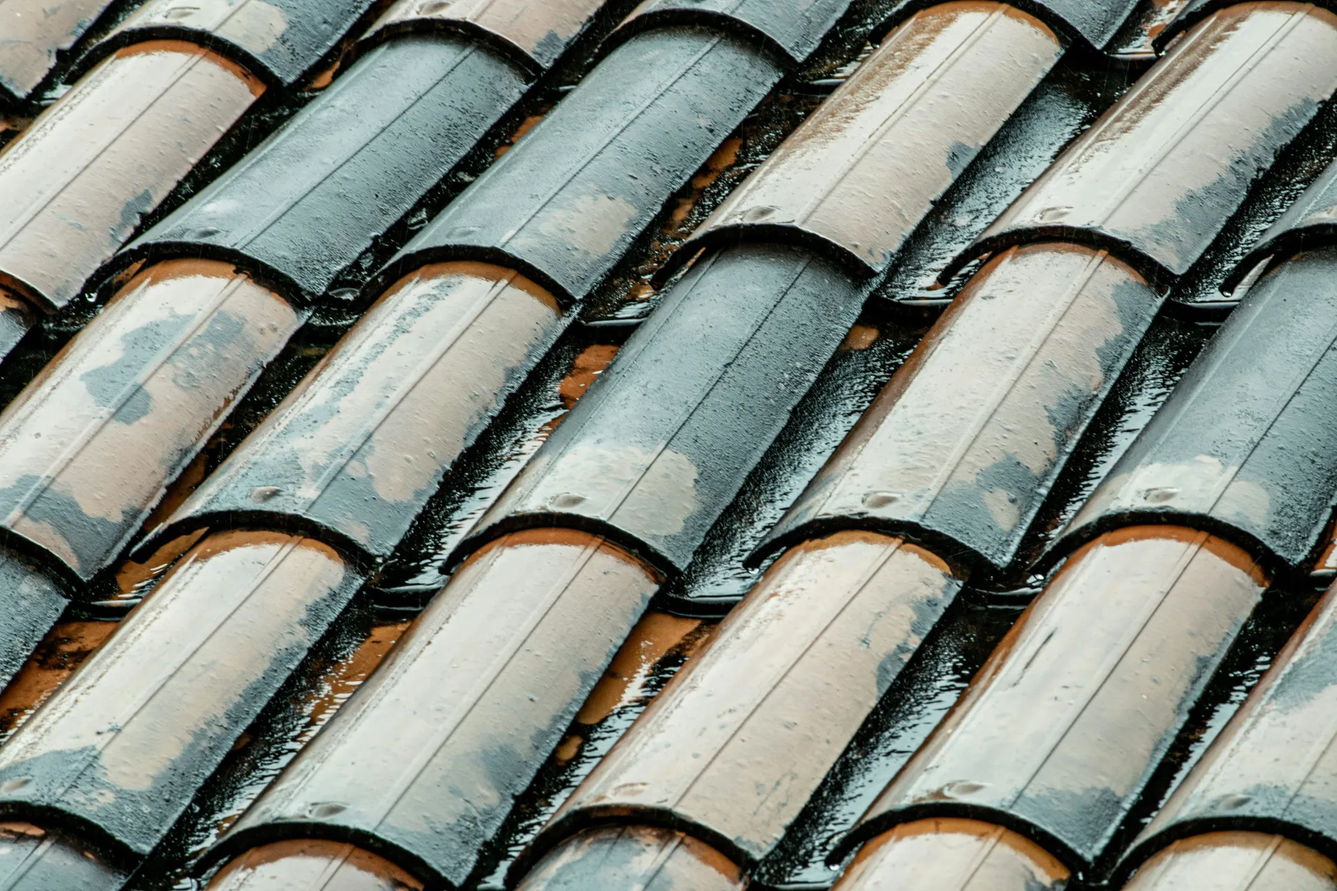 Close-up of traditional terracotta clay roof tiles wet with rain, highlighting their curved shape and overlapping pattern, typical of pitched roofs.